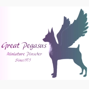 GREAT PEGASUS KENNEL