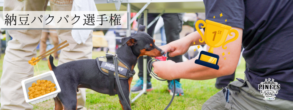 納豆パクパク選手権