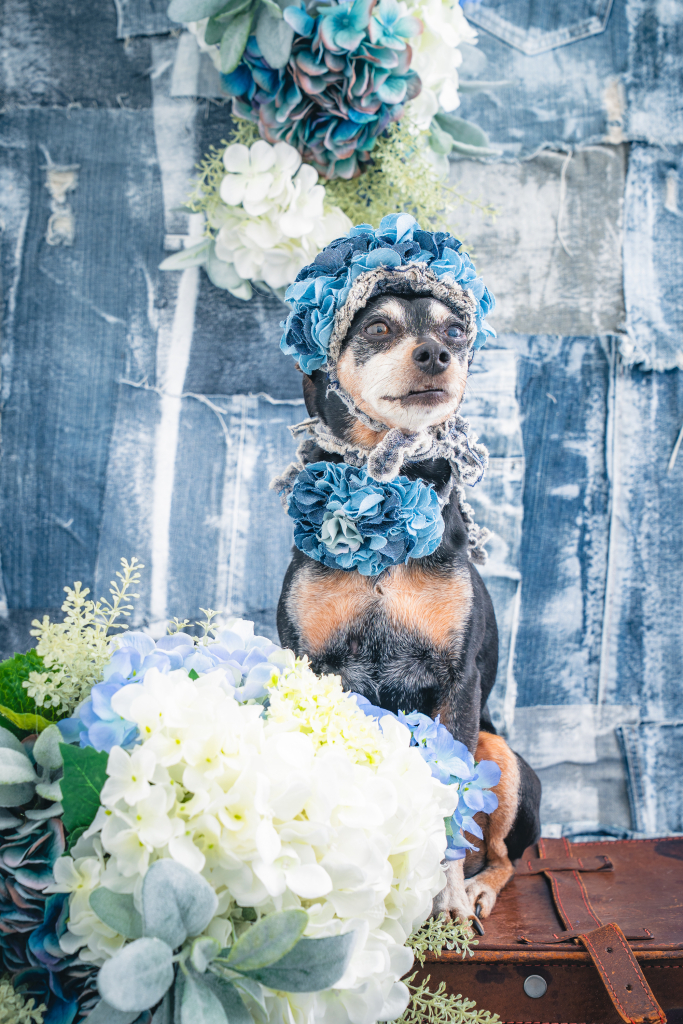 齋藤 なみちゃん