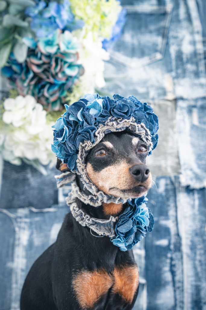 齋藤 びびちゃん