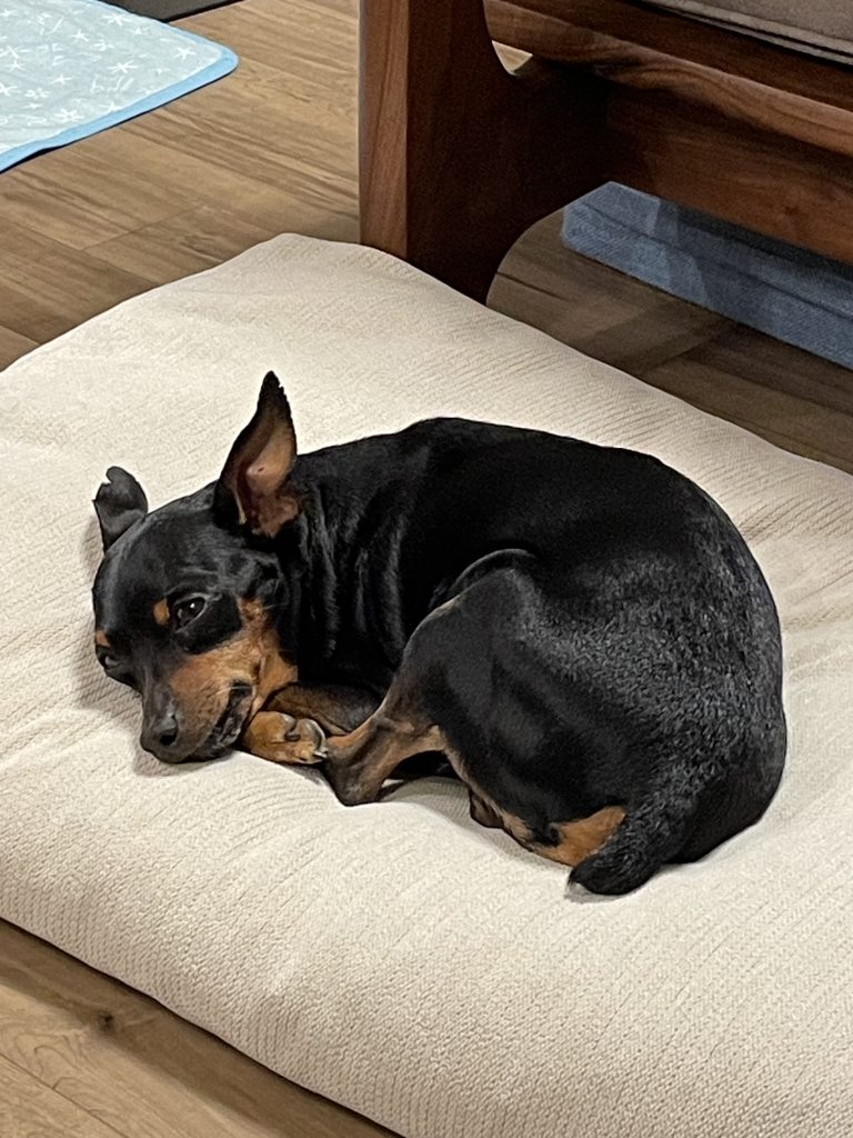 ジュピターくん