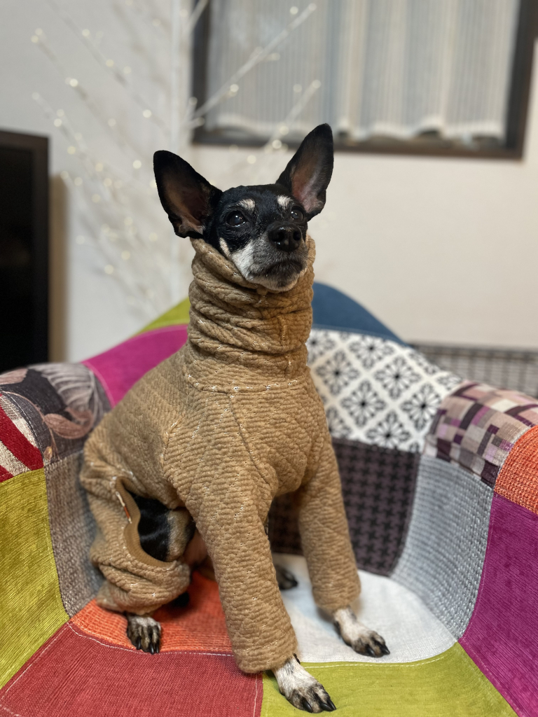 ぶりとにぃちゃん