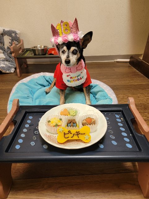 ピンキーちゃん