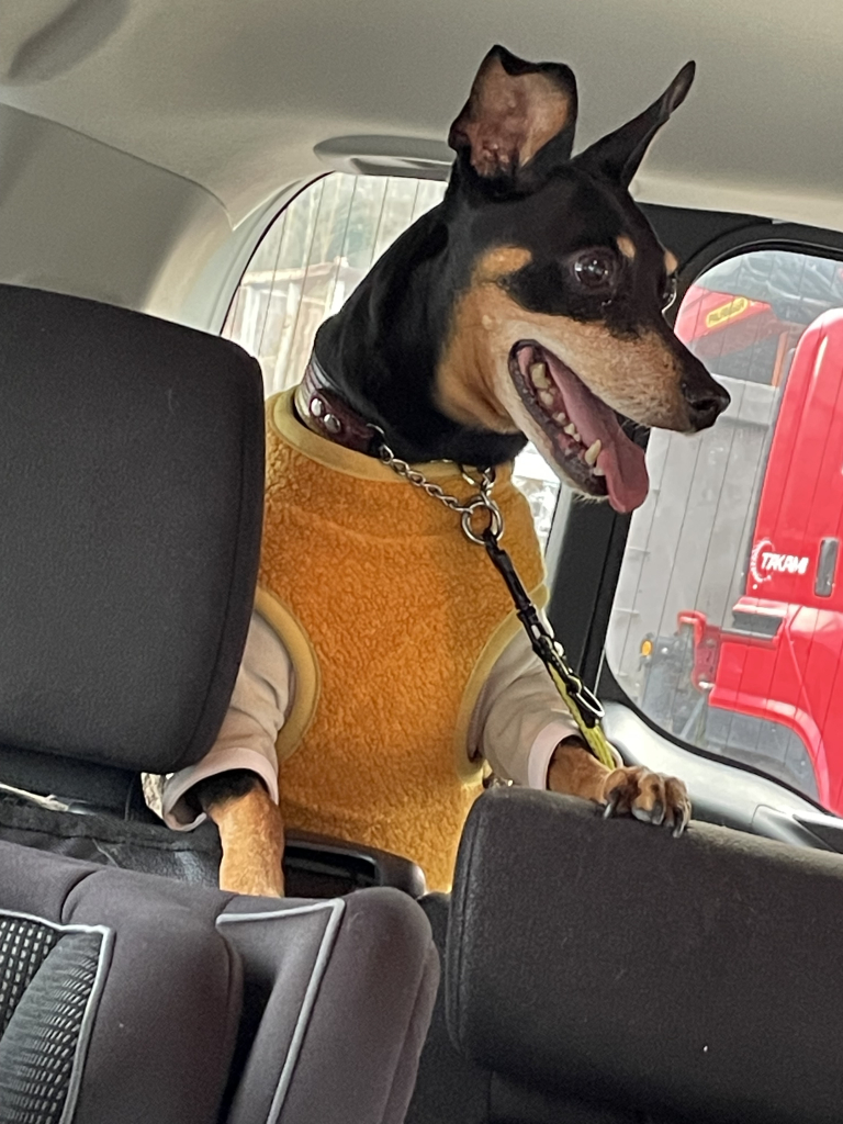 斎藤　こはくちゃん