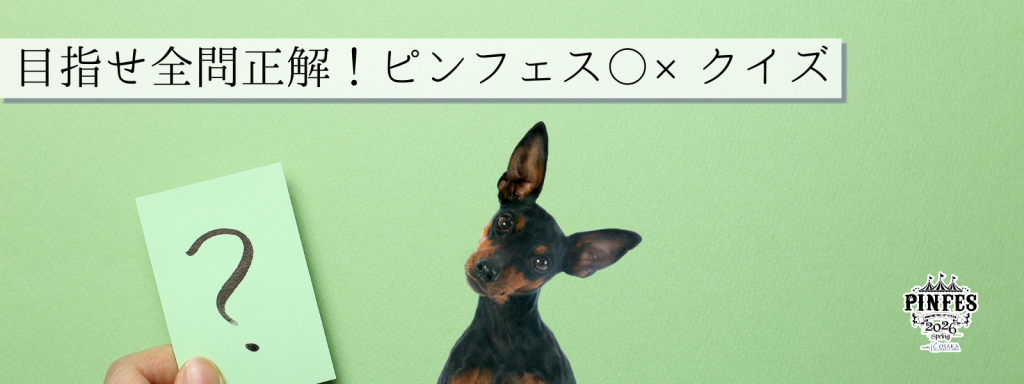 目指せ全問正解！ピンフェス〇×クイズ