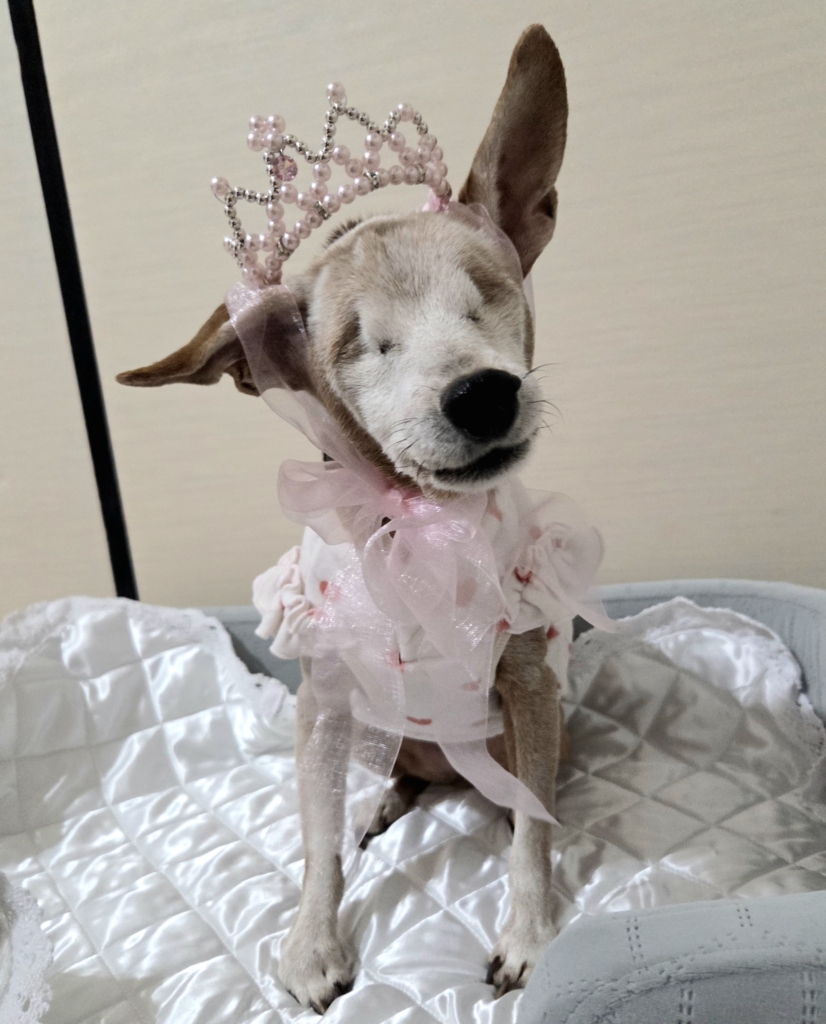 ラムちゃん